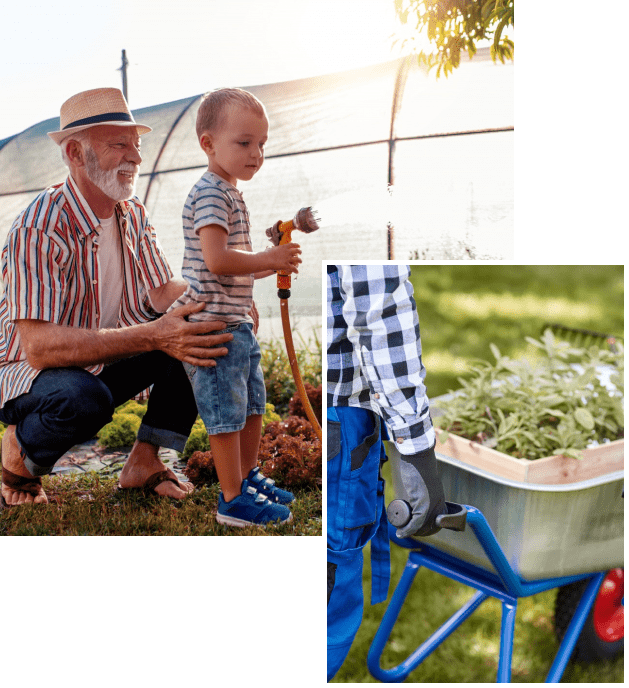 Magasin de jardinage